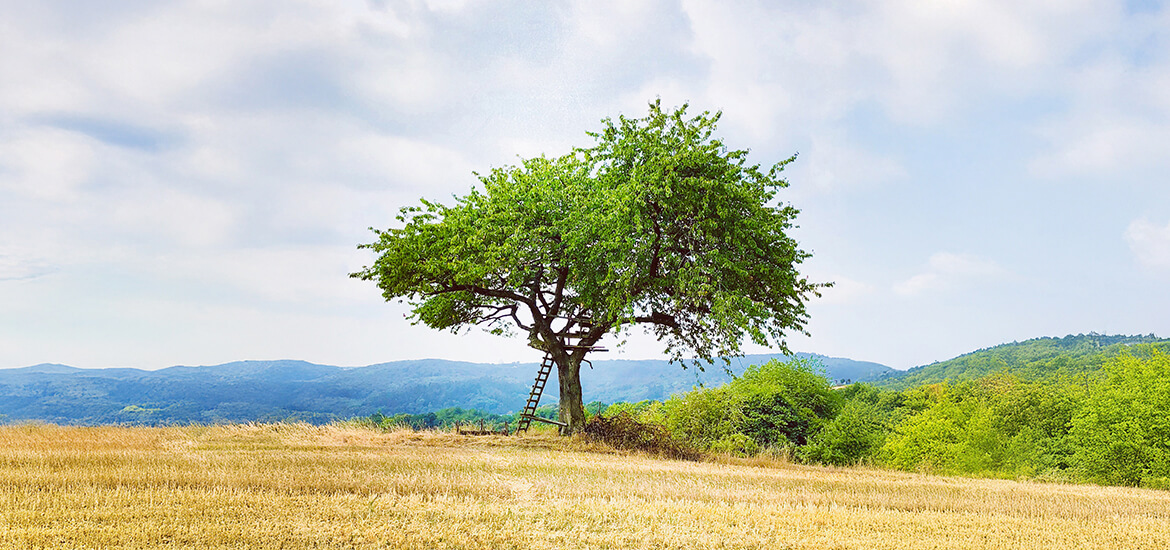 G&uuml;nter Dietrich und Kollegen Steuerberatungsgesellschaft mbH
